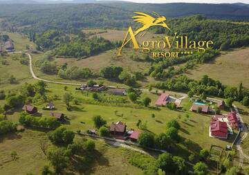 Фото Фермерские дома Hotel Suite-Agrovillage Resort г. Labaşinţ 1